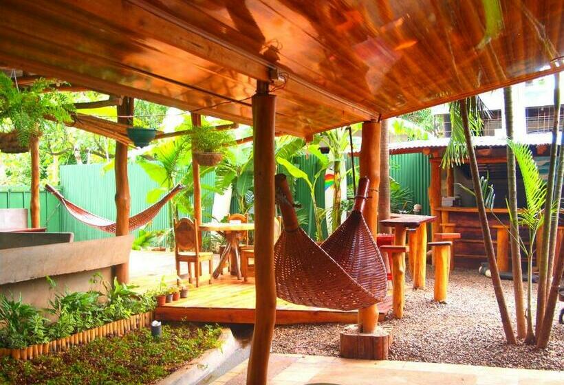 스탠다드 룸, Coral Reef Surf Hostel And Camp