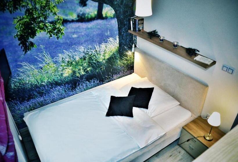 اتاق عادی, Design Hotel Romantick