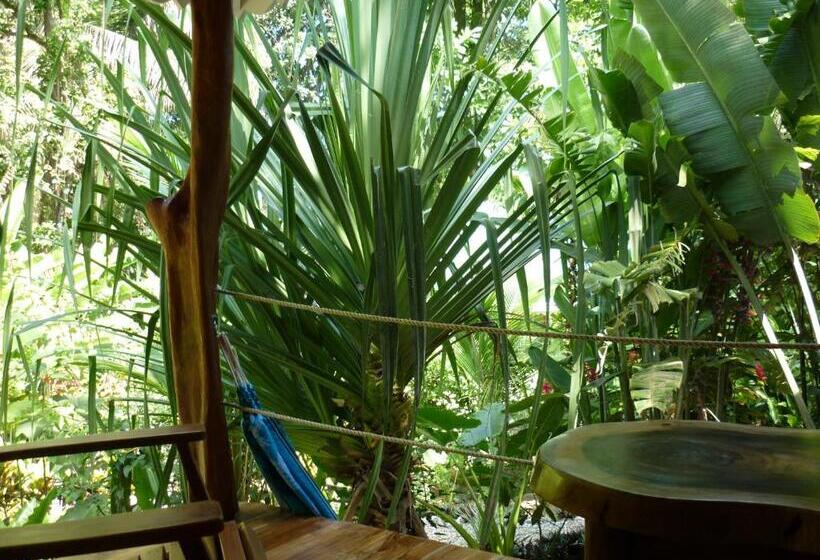 Стандартный Номер Кровать Кинг, El Pequeño Gecko Verde