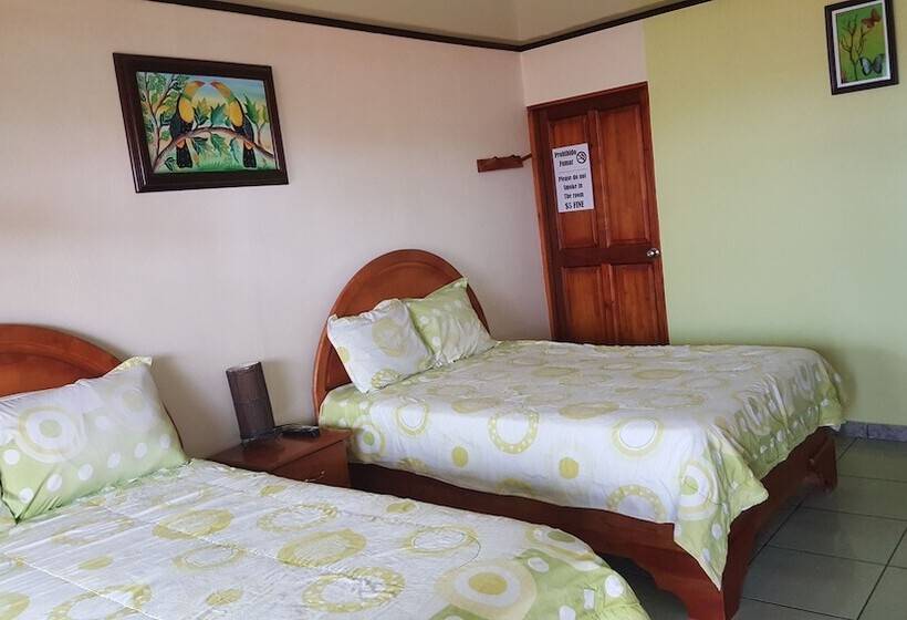 기본룸, Fas B&b