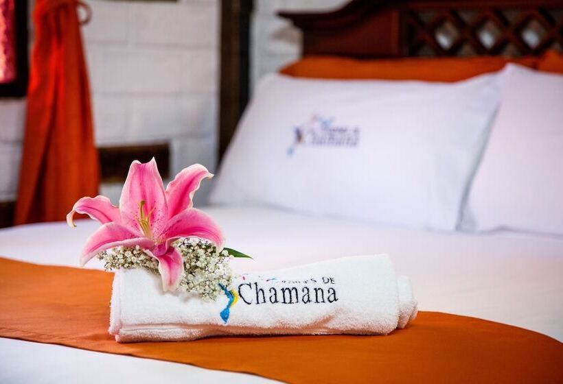 스탠다드 룸, Jardines De Chamana
