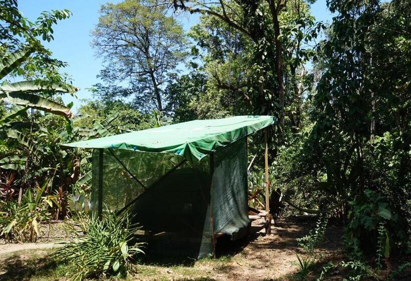 Standard Tent, Mohagine