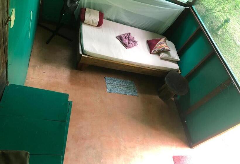 共用房间的床, Mohagine