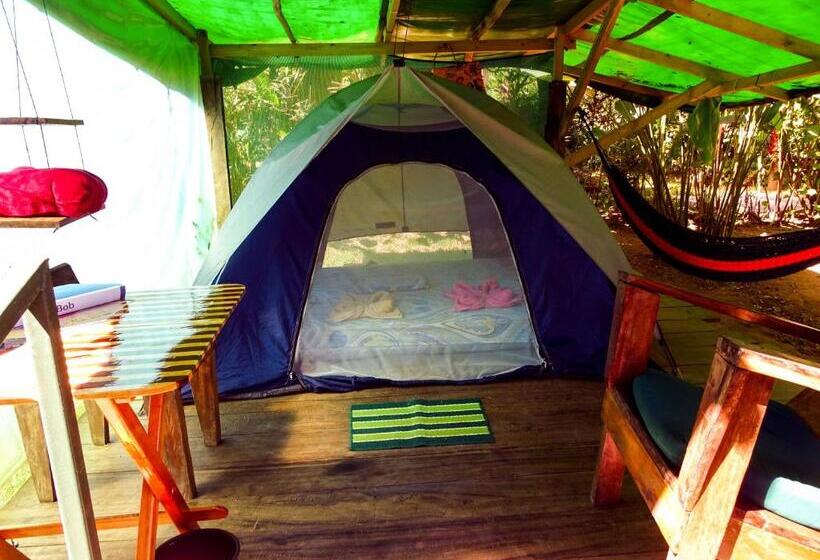 Standard Tent, Mohagine