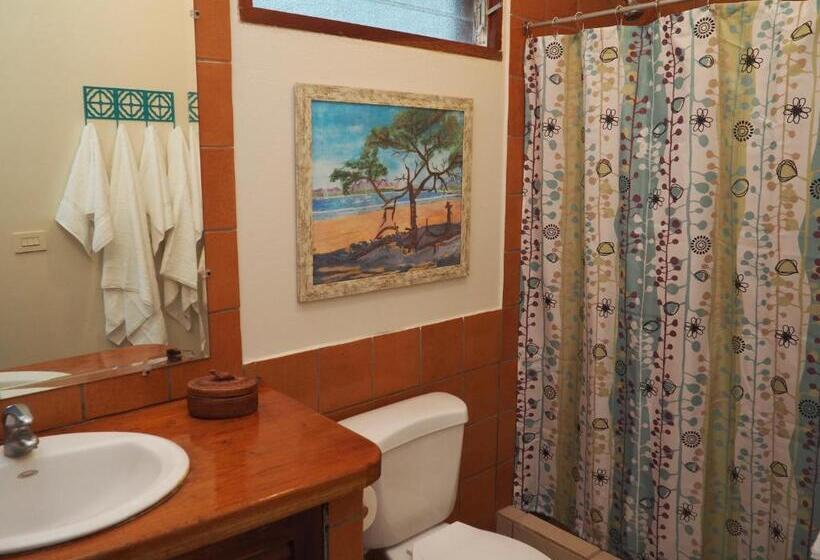 标准间, Ten North Tamarindo Beach