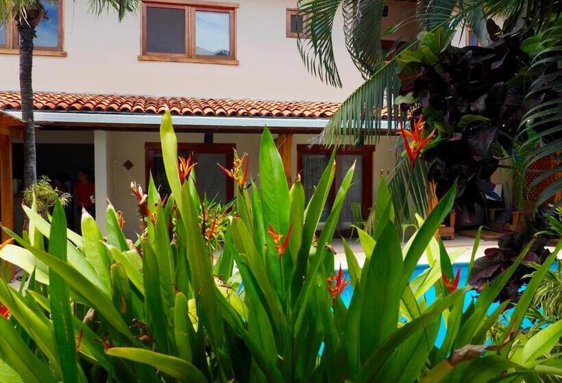 标准间, Ten North Tamarindo Beach