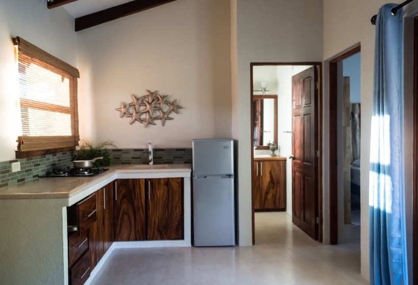 Apartamento 1 Dormitório com Sacada, Ten North Tamarindo Beach