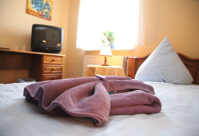 스탠다드 룸, Wolfshotel Am Arendsee