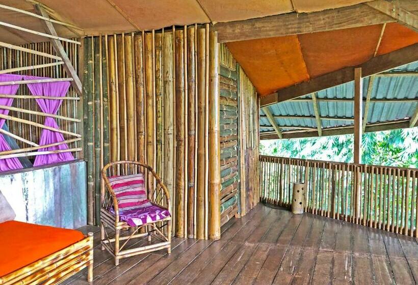 Quarto Estandar Banheiro Compartilhado, Cascada Verde Hostel