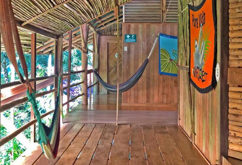 Quarto Estandar Banheiro Compartilhado, Cascada Verde Hostel