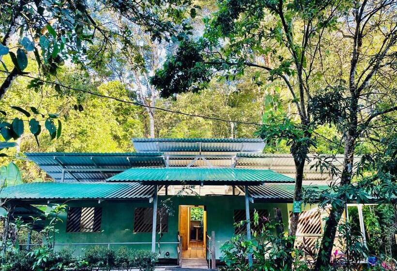 Quarto Economy, Cascada Verde Hostel