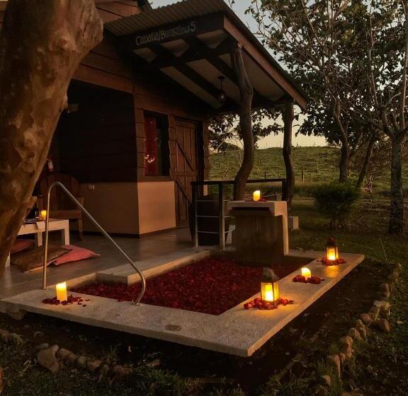 标准间带露台, Colinas Del Miravalles Hotel & Hot Springs