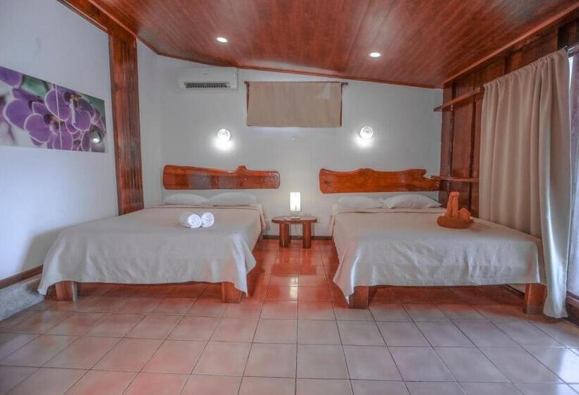Номер Стандарт 2 Двуспальные Кровати, El Jardin