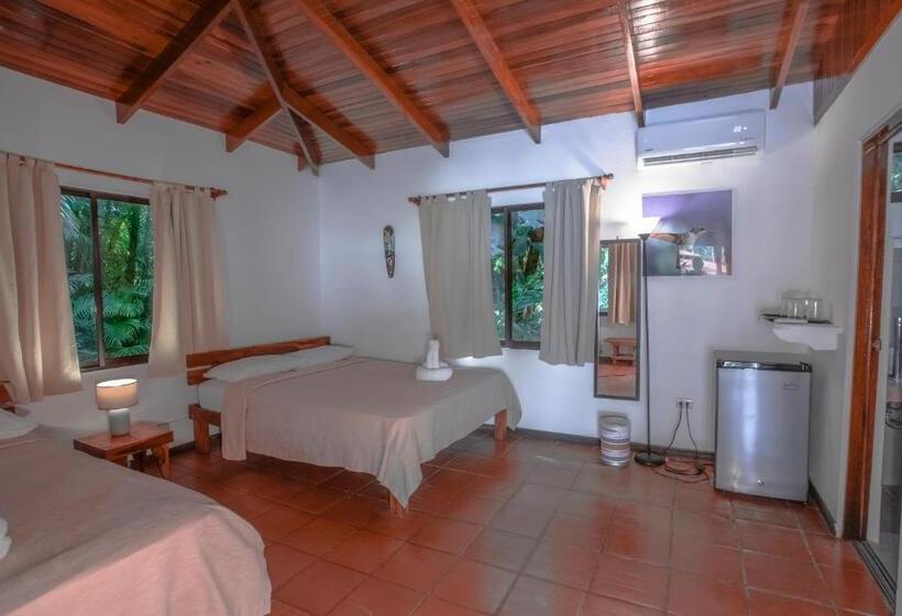 Quarto Quádruplo Estandar, El Jardin