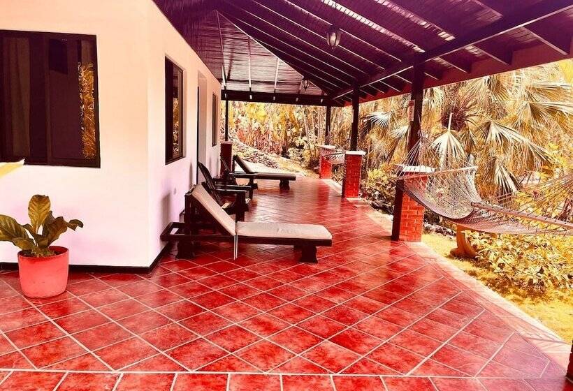 Quarto Deluxe com Sacada, El Jardin