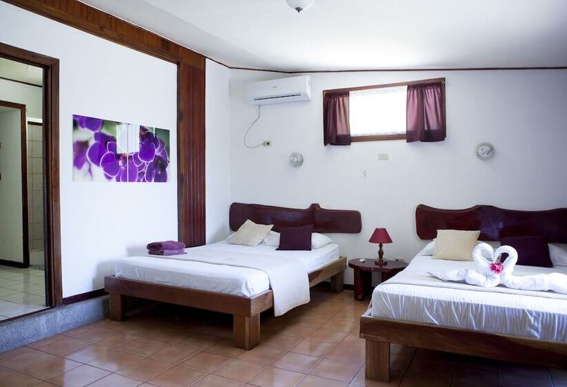 Quarto Estandar 2 Camas Casal, El Jardin