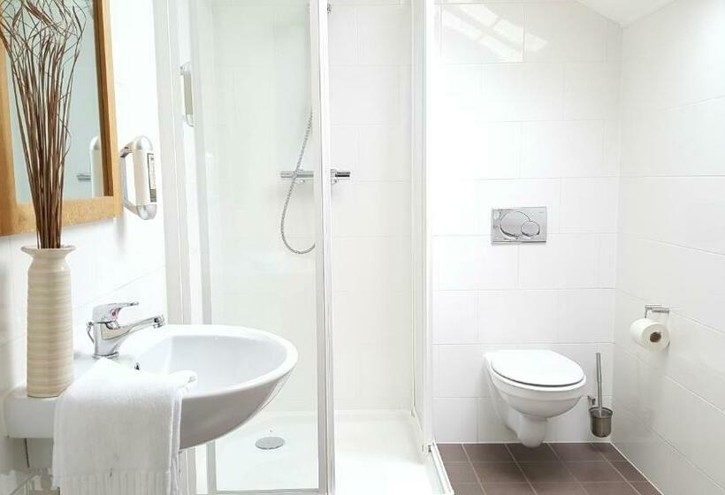 Номер Стандарт, Guesthouse Eleven