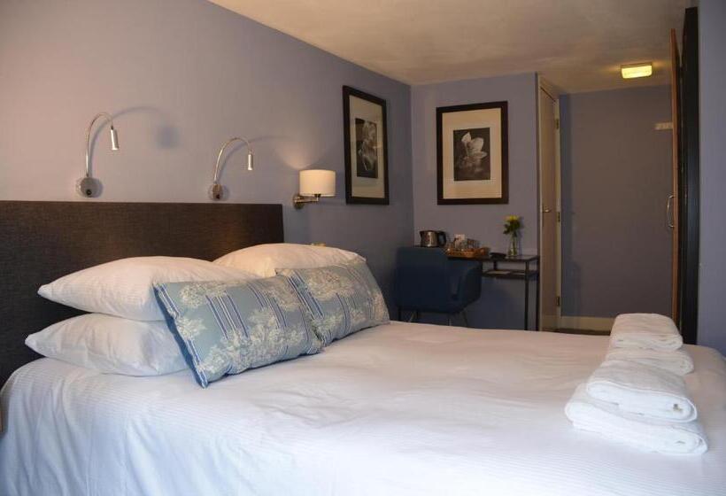 חדר סטנדרט, Frisco Inn