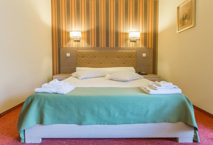 اتاق استاندارد, Bacolux Diana Resort, Herculane