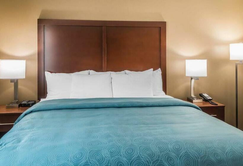Люкс Кровать Кинг, Mainstay Suites Edinburg
