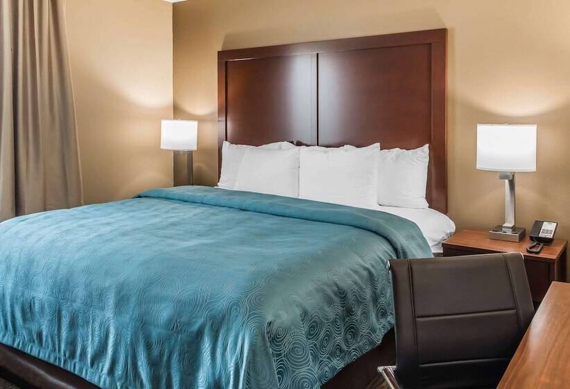 Люкс, Mainstay Suites Edinburg