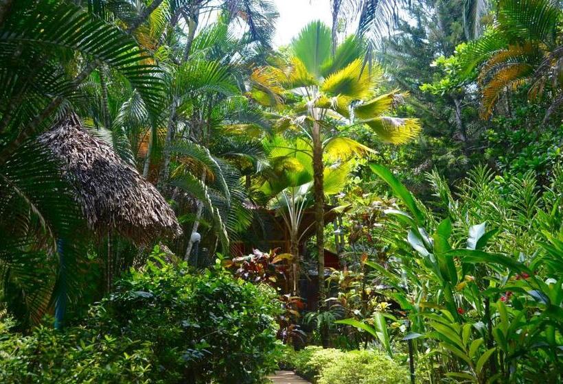 חדר משפתחתי סופריור, Amanwana Ecofinca
