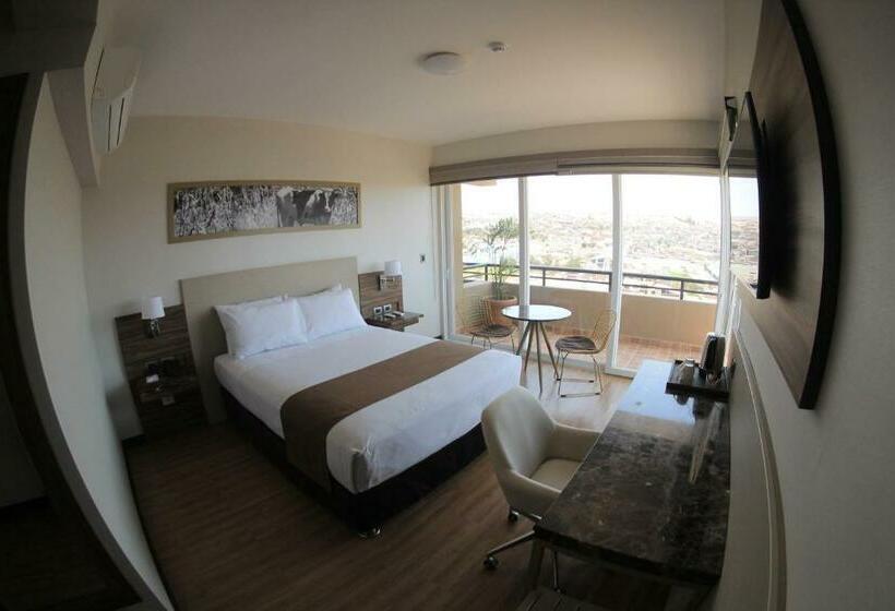 스탠다드 싱글 룸, Dm Hoteles Moquegua