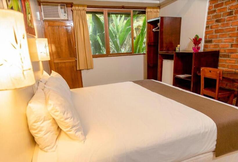 Номер Стандарт, Dm Es Tarapoto