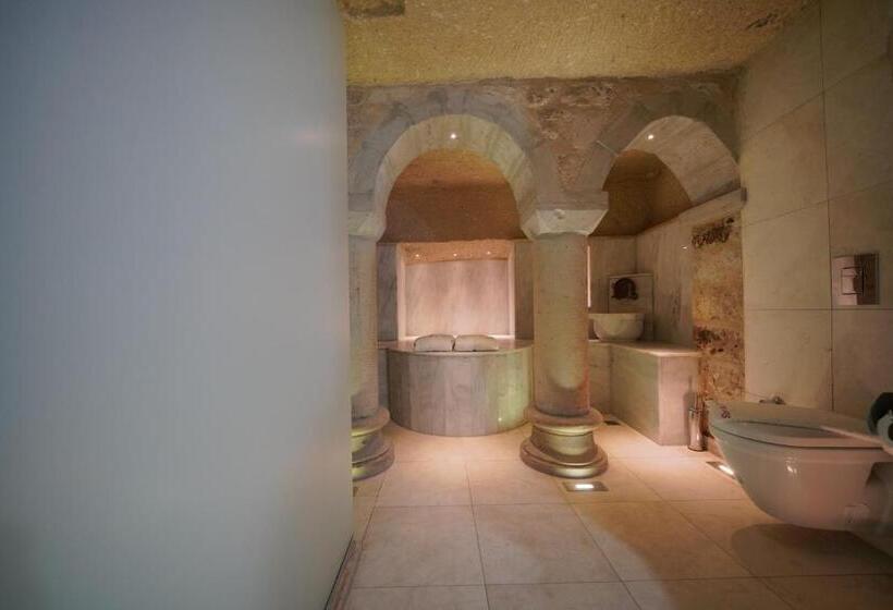 سوییت اجرایی, Shoestring Cave House