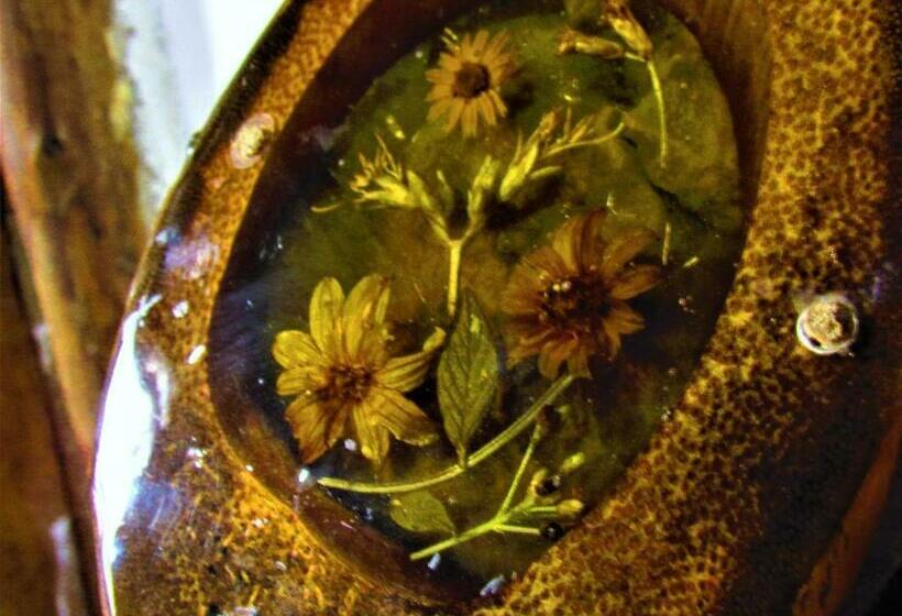 اتاق استاندارد, Casa Tarzan