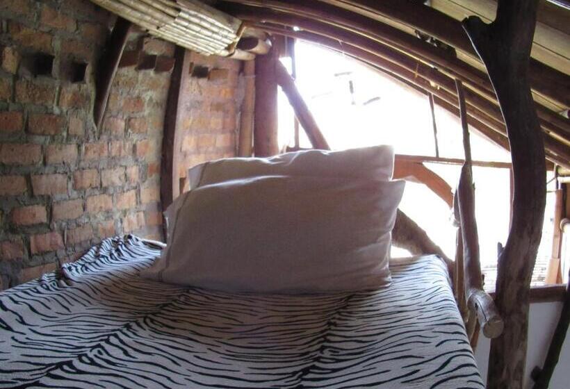 اتاق استاندارد سه نفره, Casa Tarzan