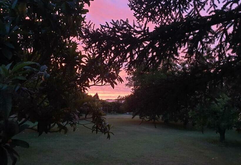 标准房带园景, La Gourmandine