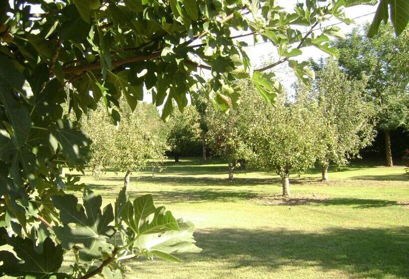 标准房带园景, La Gourmandine