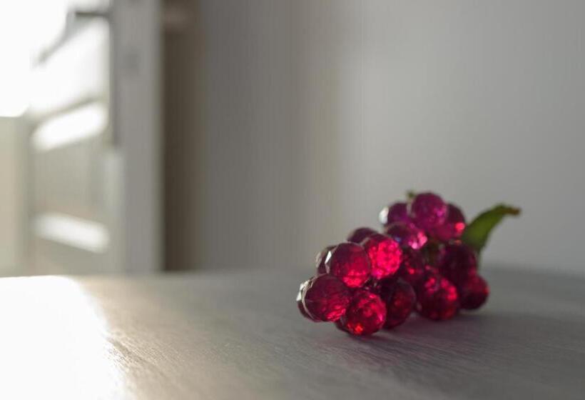 Номер Стандарт, Les Raisins Du Bonheur