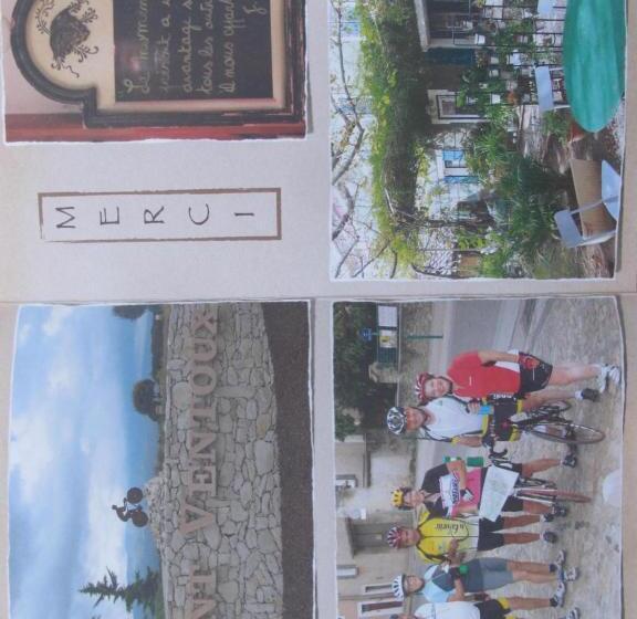 شقة غرفة واحدة, Lou Cardalines