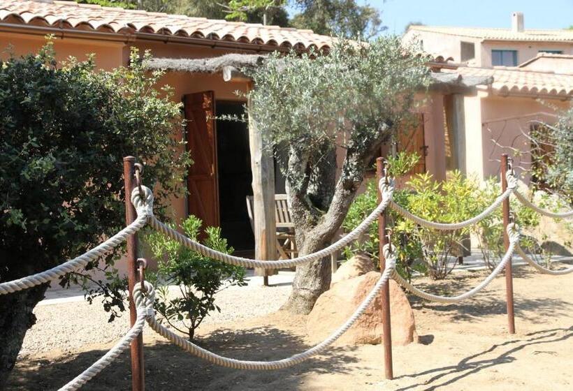 Apartament 2 Dormitoare, Residence A Licetta