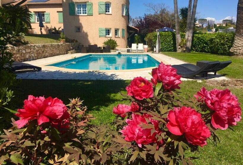 자쿠지 스위트, Villa Antoline
