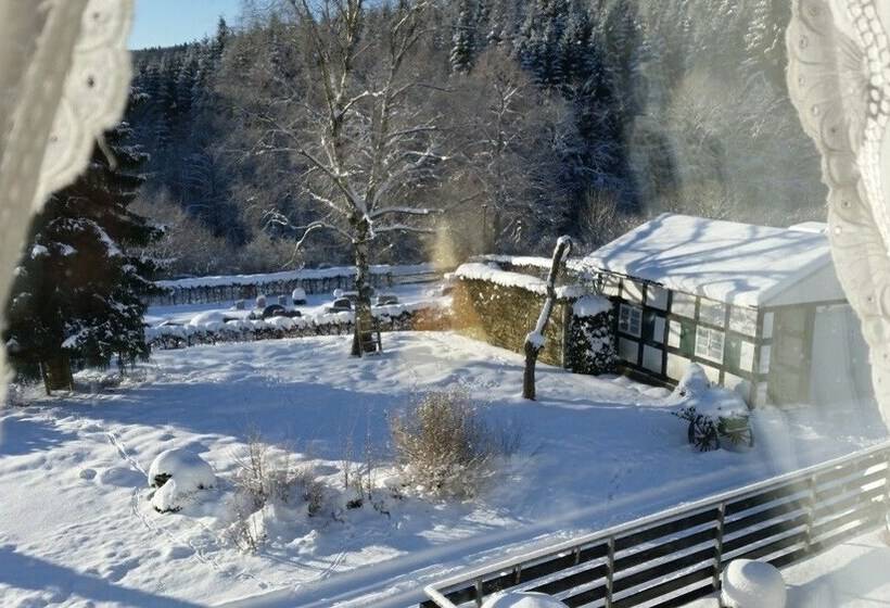 غرفة قياسية, Jagerhof Winterberg