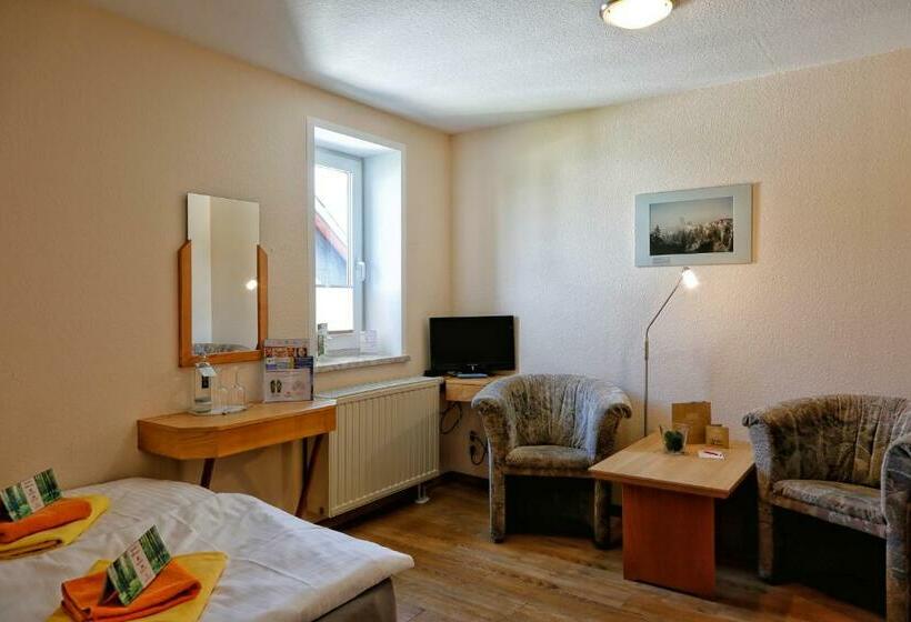 Номер Стандарт, Konsum Gästehaus Quisisana   Nebenhaus Des Konsum Berghotel Oberhof