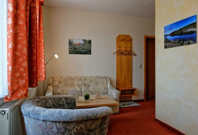 Апартаменты 1 Спальня, Konsum Gästehaus Quisisana   Nebenhaus Des Konsum Berghotel Oberhof