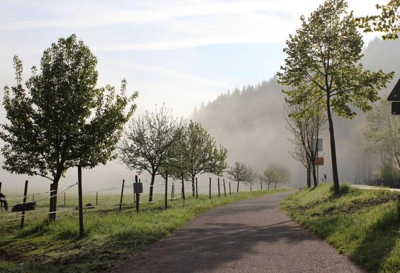 Номер Стандарт с Балконом, Naturpurhotel Maarblick