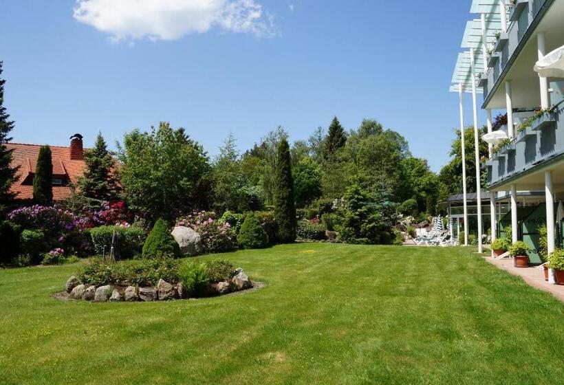 Номер Стандарт, Parkhotel Flora Am Schluchsee