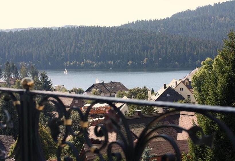 Полулюкс, Parkhotel Flora Am Schluchsee
