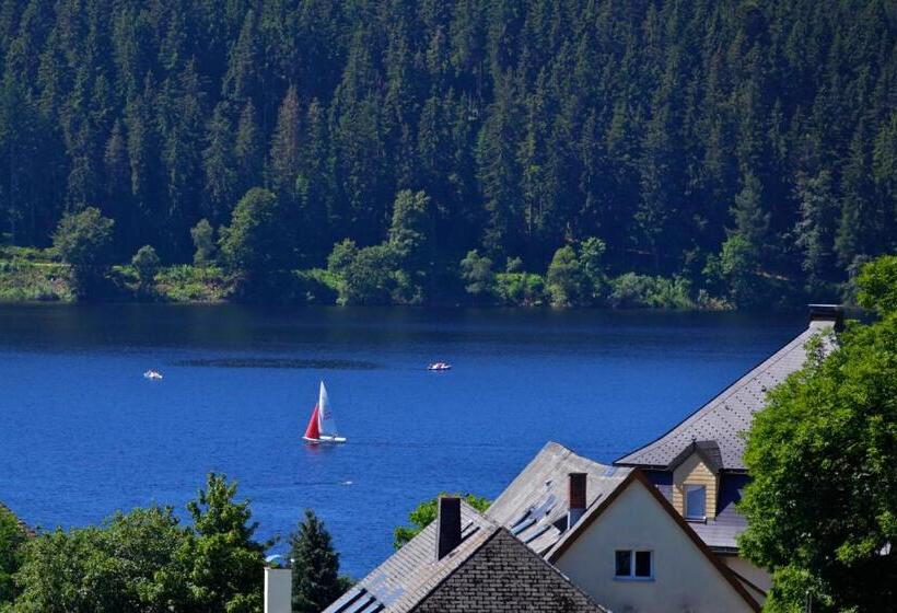Люкс Superior, Parkhotel Flora Am Schluchsee
