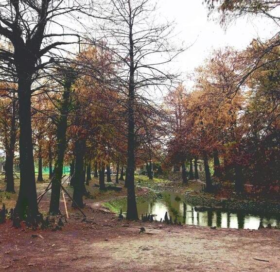 اتاق خانوادگی, Park 61