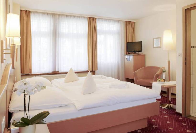 Номер Стандарт, Ferien  Und Wellnesshotel Waldfrieden