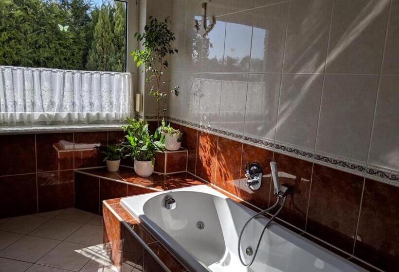 Апартаменты 1 Спальня Нижний Этаж, Landhotel Pathes Hof