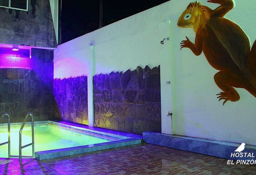 اتاق لوکس, Hostal El Pinzón