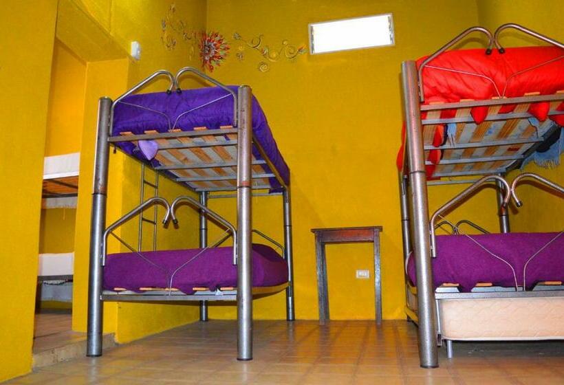 공동 객실, Andamundos Hostel