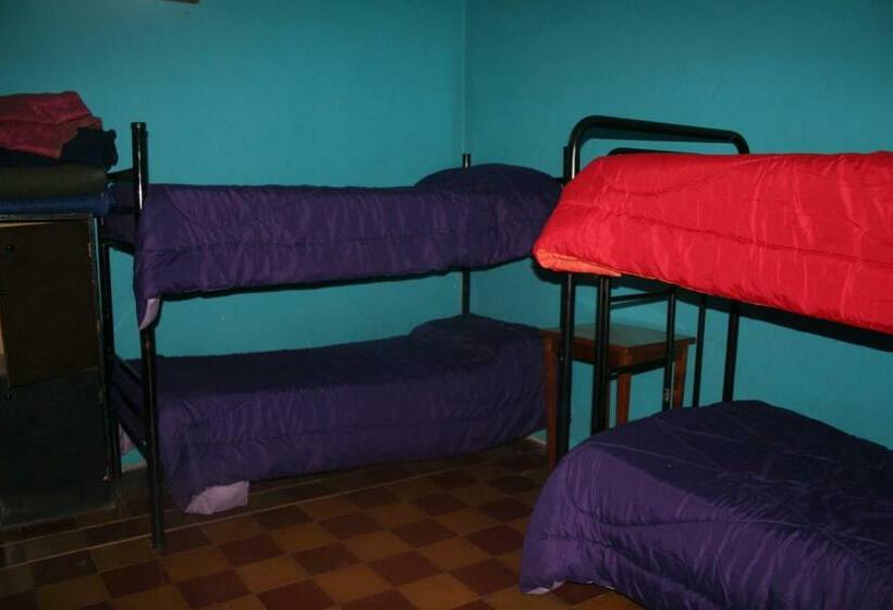 공동 객실, Andamundos Hostel